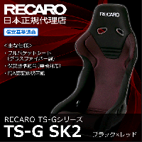 【50%OFF】　Recaro TS-G SK2 (SILBER) without FIA